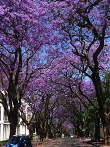 What If There Was a Beautiful Stepfamily and You Couldn't See It?